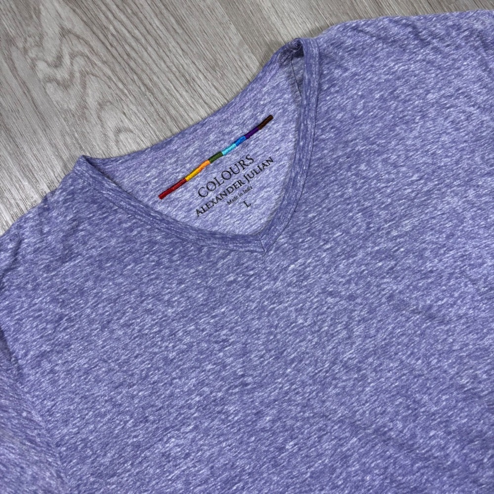 Colours Alexander Julian Mens Purple Heather V-Neck T-Shirt Large